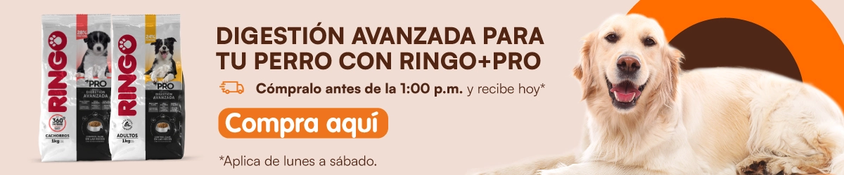 Compra Ringo en mizooco