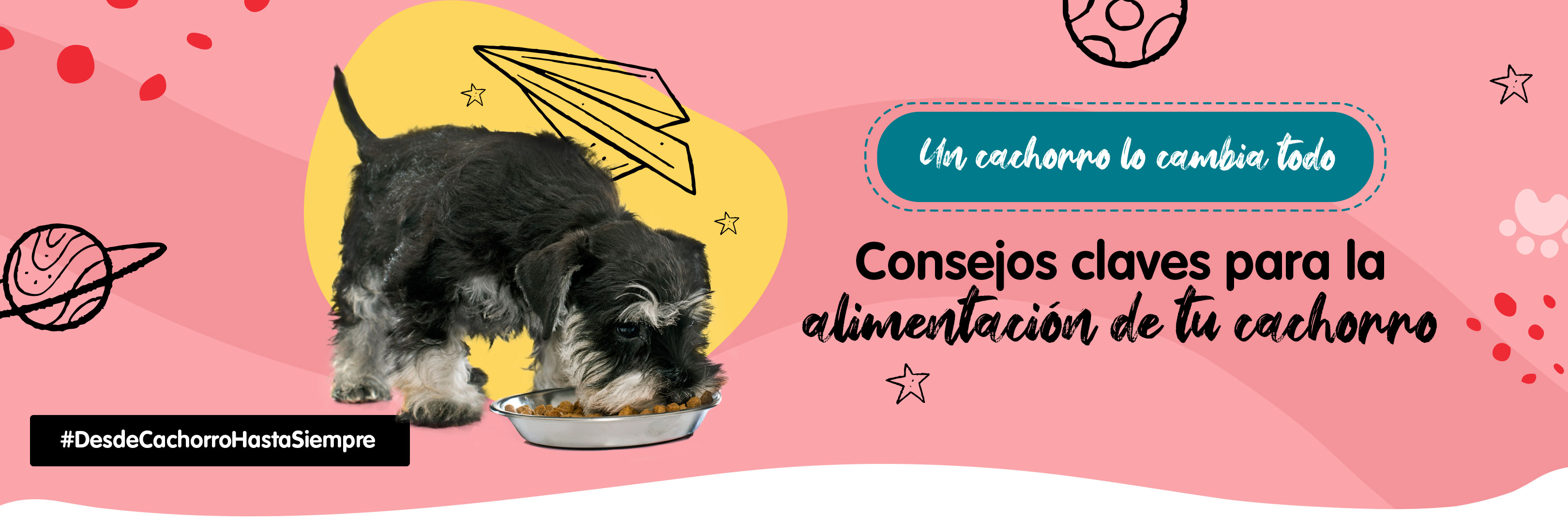 puede un cachorro de 9 semanas presentar a un perro