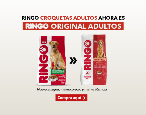 Ringo original adultos