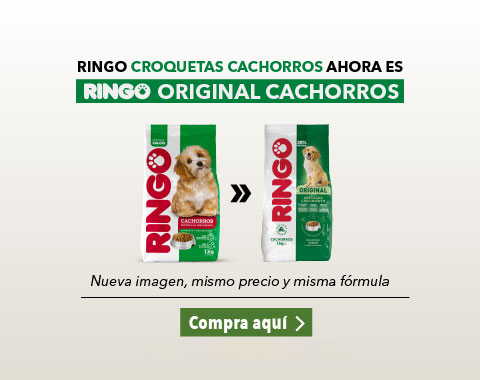 Ringo original cachorros