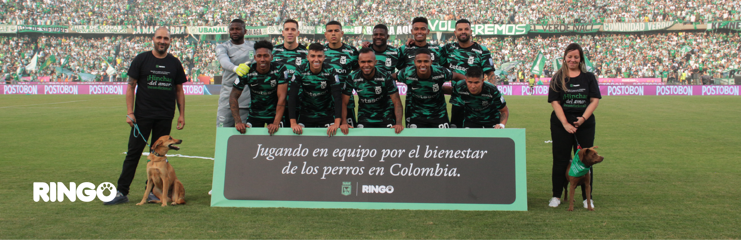 Hinchas del fútbol