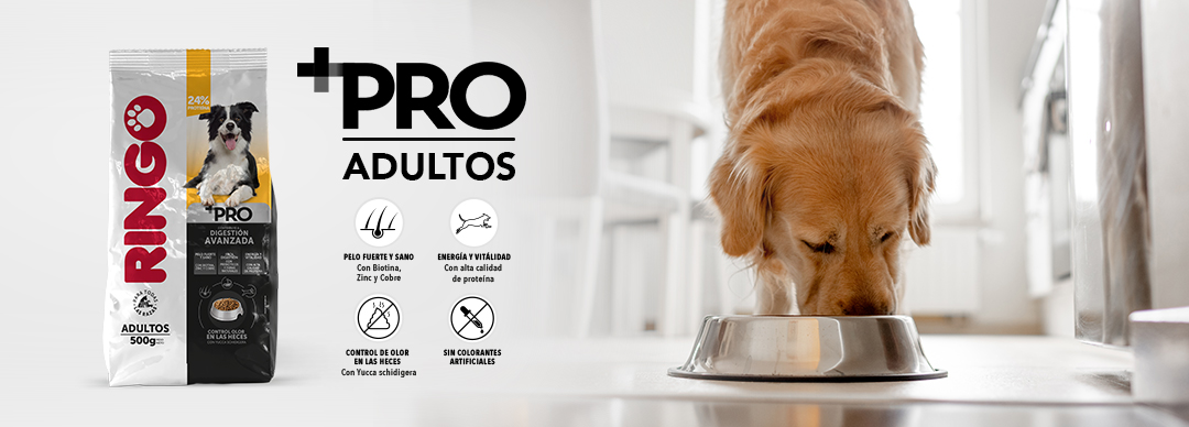 Fibras naturales para perros