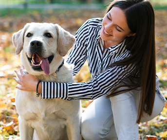 Adopción responsable de perros adultos